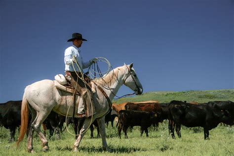 Cattle Ranch Jobs Montana at Philip Ayala blog