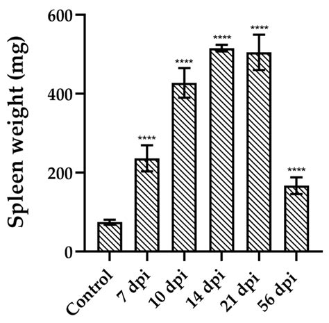 Progression of Trypanosoma cruzi Dm28c Strain Infection in a BALB/c ...