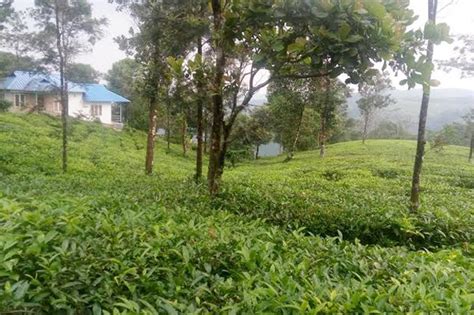 Vagamist Family Resorts, Vagamon