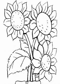 blumen malvorlagen kostenlos zum ausdrucken jung ausmalbilder blumen 3 ausmalbilder malvorlagen blumen malvorlagen kostenlos zum ausdrucken jung ausmalbilder blumen 3 ausmalbilder malvorlagen