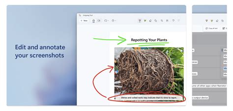Image result for Screen Capture Tool