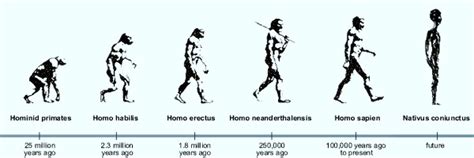 Evolution of Humankind 的图像结果