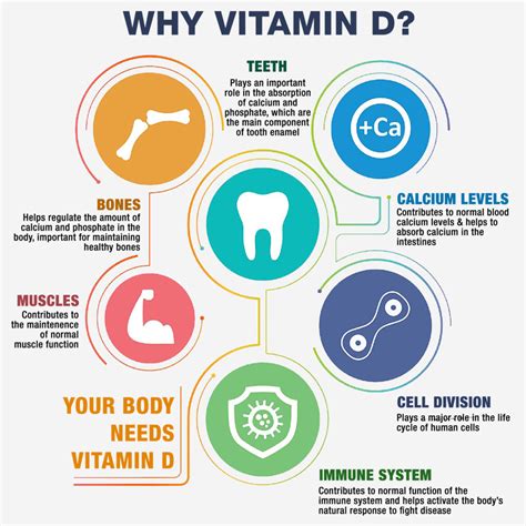 Vitamin D: Sources, Function & Deficiency - Public Health Notes