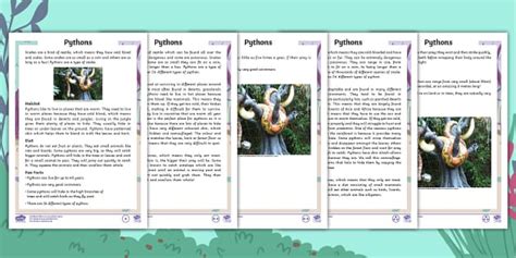 Pythons Differentiated Fact File (teacher made) - Twinkl