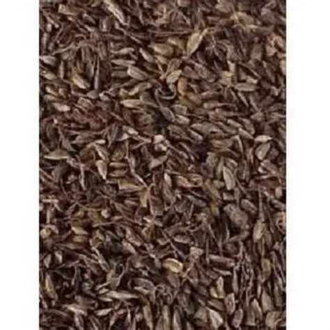 Manufacturer of Agriculture Seeds & Forestry Seeds by Suresh Forestry ...