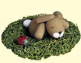 Image result for Cartoon Bear and Bunny Sleeping