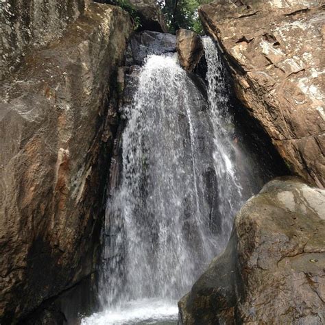 IPE TURISMO SUSTENTÁVEL (Goias) - Lodging Reviews & Photos - Tripadvisor