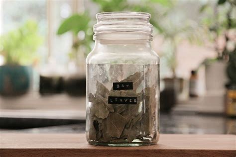 Bay Leaf Manifestation Ritual - Simple Spell for Abundance and ...