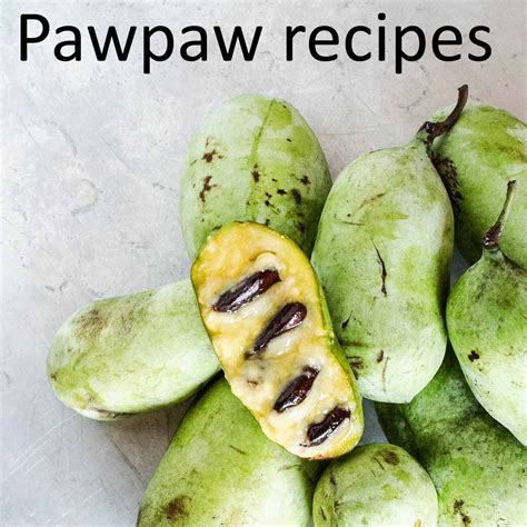 35 fun pawpaw recipes in 2024 | Pawpaw recipes, Pawpaw, Recipes