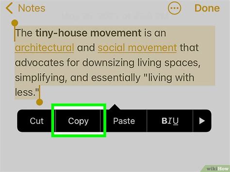 Image result for How to Copy and Paste Using the iPad