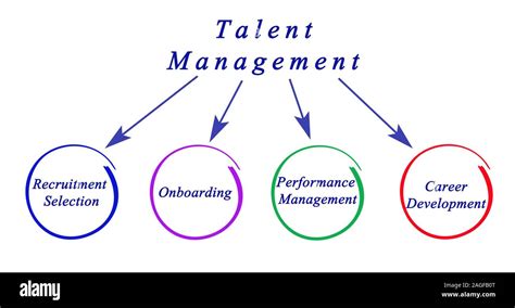 Talent Management 的图像结果
