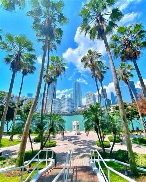 Mia Aesthetics Miami Florida