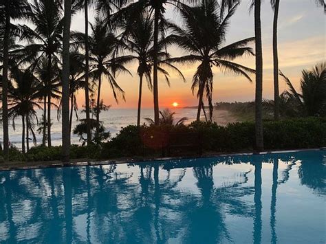 Special place - Review of Turtle Bay, Kalametiya - Tripadvisor