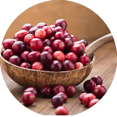 Best Sunscreen for All skin type | Buy sunscreen cream online | spf 50 ...