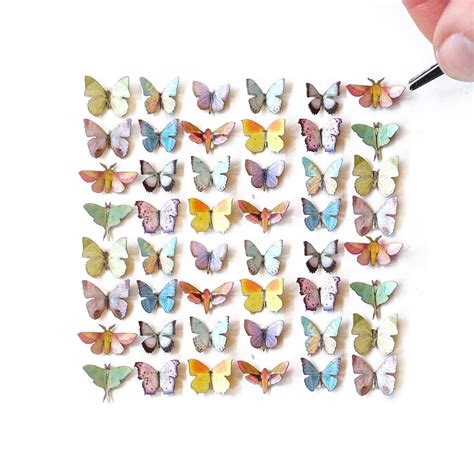 Buy Butterfly Models Uk Online In India - Etsy India