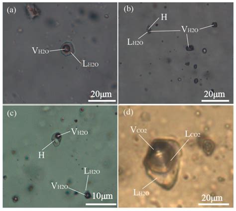 The Mechanism of Fluid Exsolution and Sn–W Precipitation: Example from ...