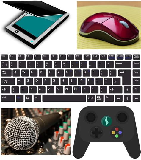 Image result for Input Devices for a Computer