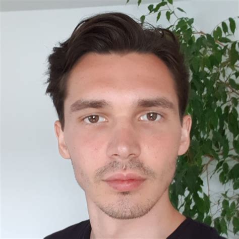 Dejan Fraas - Werkstudent - Micro Systems Engineering GmbH | XING