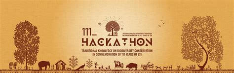 Hackathon Structure | Hackathon