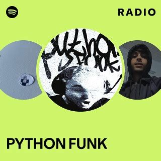Python Funk Remix 的图像结果