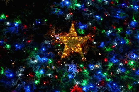 Best Places to See Christmas Lights in Tyler + East Texas
