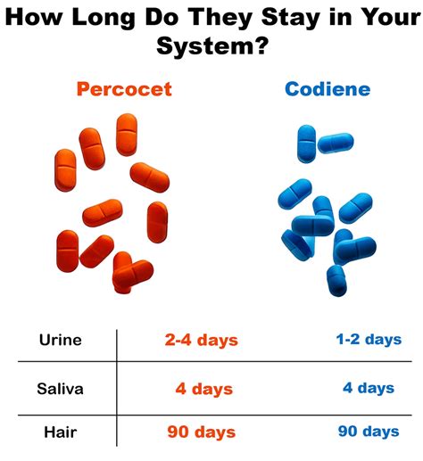 Codeine vs. Percocet: Differences & Help | Midwest Recovery Centers