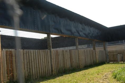 ZooLex Image - Visual barriers between enclosures