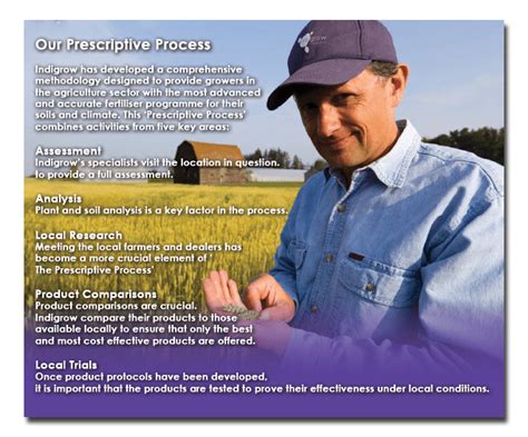 Image result for Indigrow Assignment