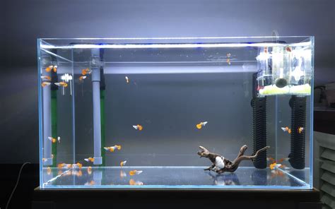 厂家定做中型海鲜鱼缸 定制饭店鱼缸 超市玻璃鱼缸 免费设计施工-阿里巴巴