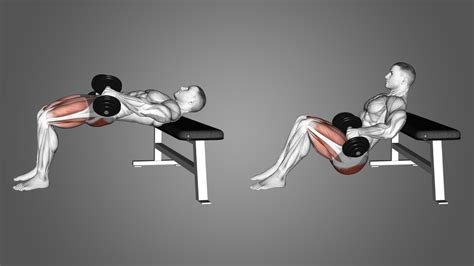 Hip Thrust Exercise 的图像结果