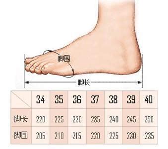 外貿鞋尺寸換算大全-腳長255應該穿什麼碼的鞋子最合適 - 每日頭條