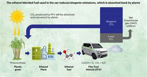 Maruti Suzuki unveils flex-fuel Wagon R prototype, market launch likely ...