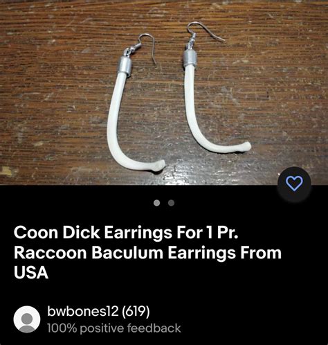 RACCOON PENIS BONE : r/HeyRiddleRiddle