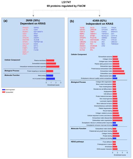 Mutant KRAS-Associated Proteome Is Mainly Controlled by Exogenous Factors