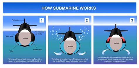 Image result for Marine Water Tank Tutorial