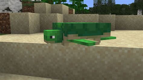 Turtle Tutorial Minecraft 的图像结果