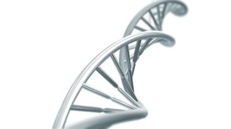 DNA Electron Microscope 的图像结果