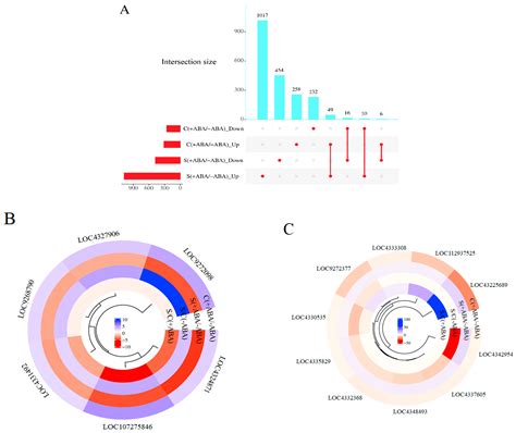Effect of ABA Pre-Treatment on Rice Plant Transcriptome Response to ...