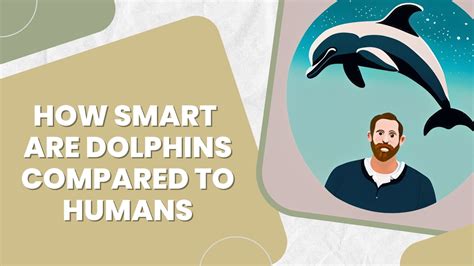 Why Do Dolphins Play With Puffer Fish? Fascinating Insight | DolphinXpert