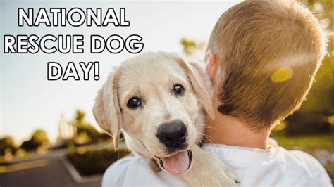 Monday marks National Rescue Dog Day