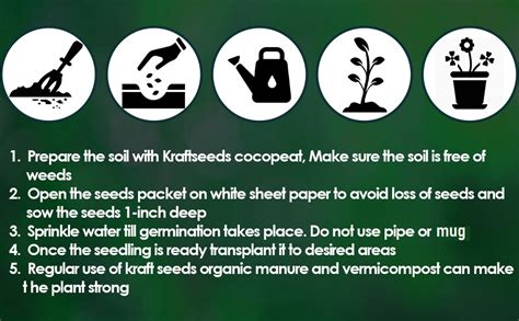 Kraft Seeds by 10club Fresh Garden Flower Seeds ( 30 Packets, Approx ...