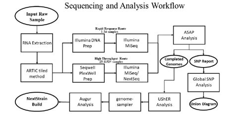 Complex Process Workflow Sample 的图像结果