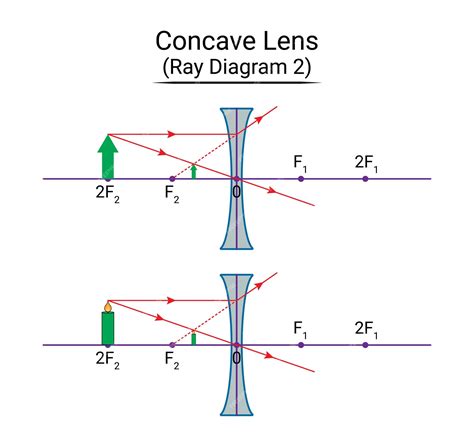 Premium Vector | Concave lens ray diagram 2