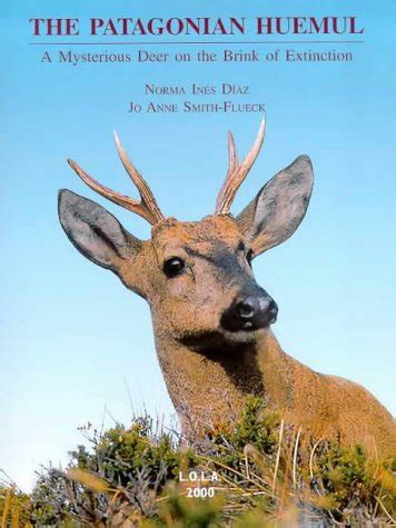 The Patagonian Huemul: A Mysterious Deer on the Brink of Extinction ...