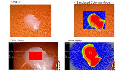 Image result for Python Negative Range