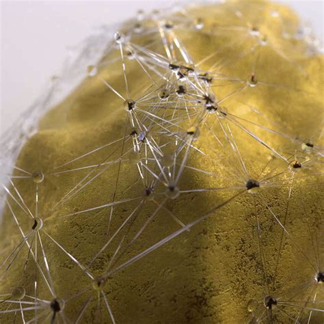 Image result for Particle Animation Generator