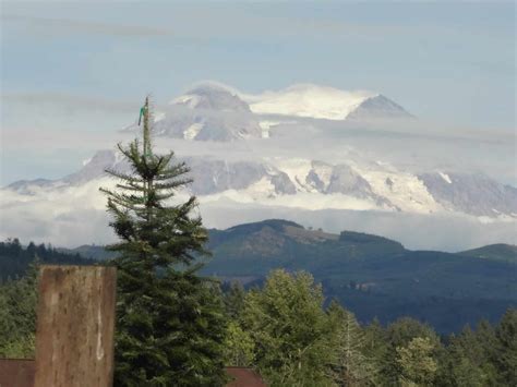 Seattle: Washington - Been There Done That Trips