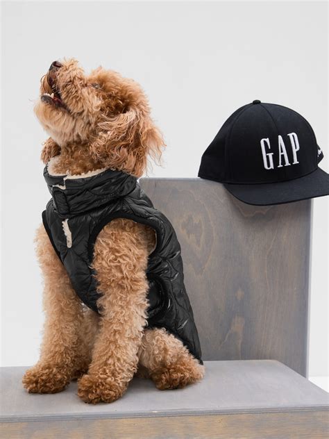 Puffer Dog Jacket | Gap