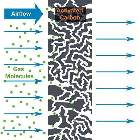 Your Guide to the Air Purifier for Asthma and a Solution Like uBreathe