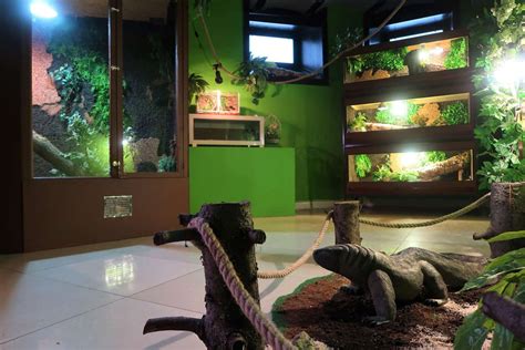 ZAKOPANE REPTARIUM - EXOTIC ANIMALS AND REPTILES - Zakopane Atrakcje Info